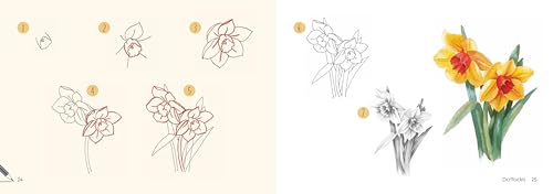 Draw 30: Flowers: in easy steps