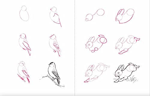 Draw 50 Animals: The Step-by-Step Way to Draw Elephants, Tigers, Dogs, Fish, Birds, and Many More...