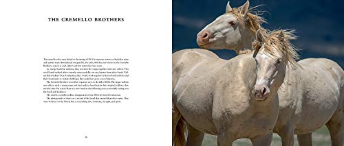 Wild Horses of the West (Wild in the West)