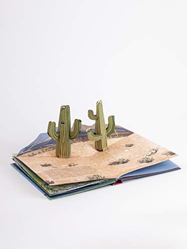 The Weather: Pop-up Book