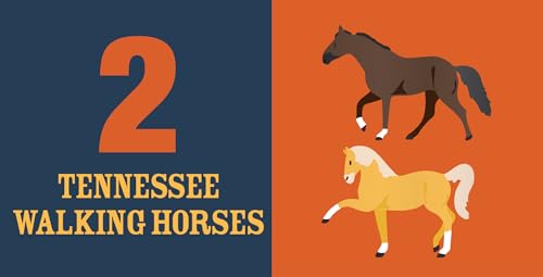 Count On Tennessee: Baby’s First Book About the Volunteer State