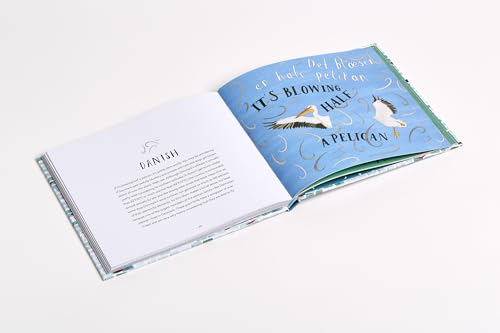 The Illustrated Book of Sayings: Curious Expressions from Around the World