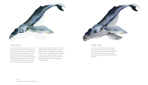 Everyday Watercolor Seashores: A Modern Guide to Painting Shells, Creatures, and Beaches Step by Step