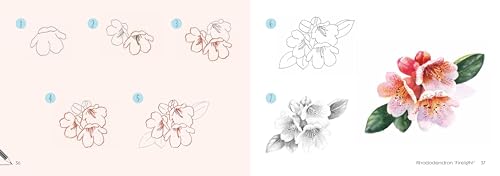 Draw 30: Flowers: in easy steps