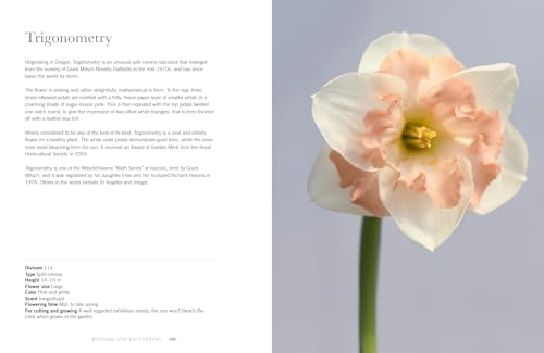 Daffodils: Beautiful Varieties for Home and Garden (Flowers)