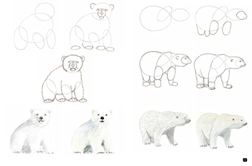 Draw 100: Animals: From basic shapes to amazing drawings in super-easy steps