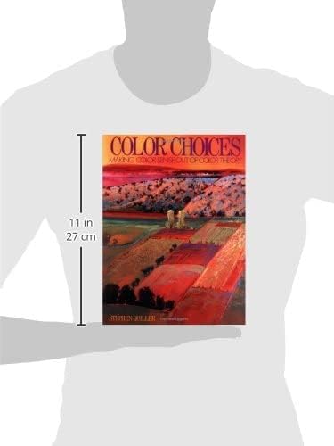 Color Choices: Making Color Sense Out of Color Theory