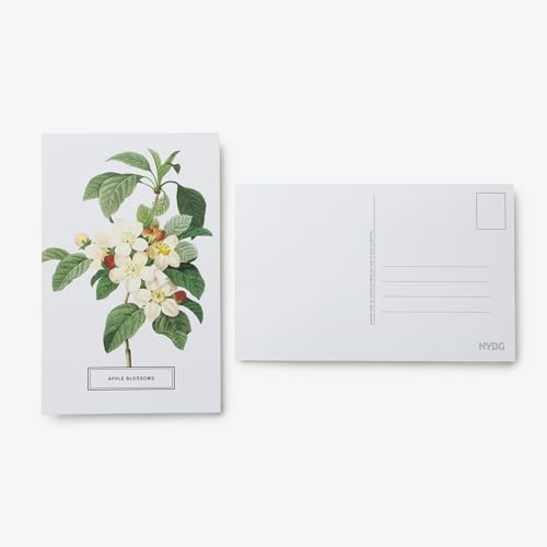 New York Botanical Garden: In Full Bloom Postcards: 100 Postcards from the Archives of the New York Botanical Garden