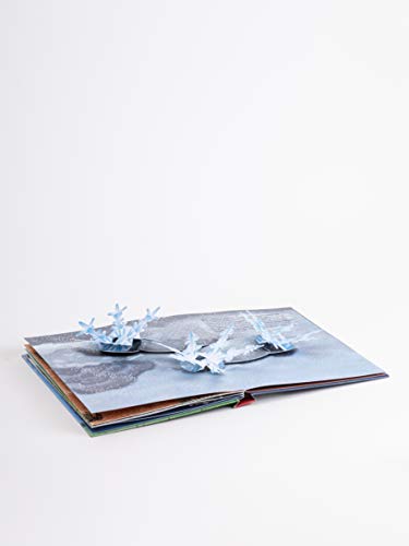 The Weather: Pop-up Book