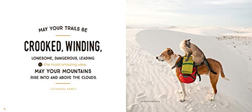 Our Wild Tails: The Adventures of Henry & Baloo