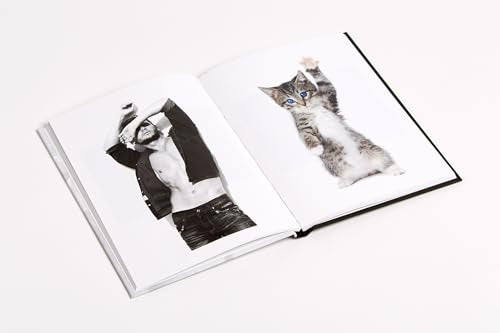 Men & Cats (The Men And Series)