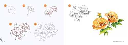 Draw 30: Flowers: in easy steps