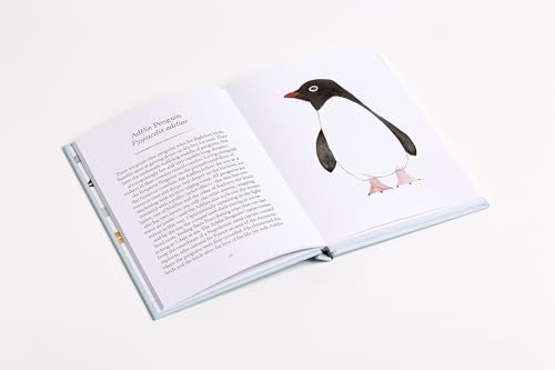 Penguins and Other Seabirds