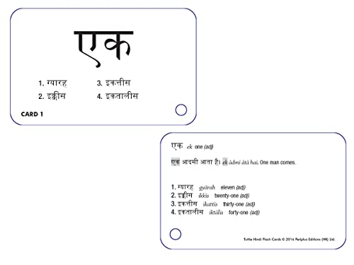 Hindi Flash Cards Kit: Learn 1,500 basic Hindi words and phrases quickly and easily! (Online Audio Included)