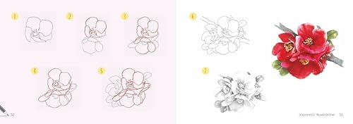 Draw 30: Flowers: in easy steps