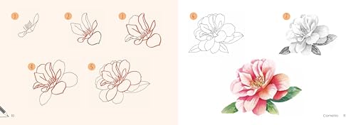 Draw 30: Flowers: in easy steps
