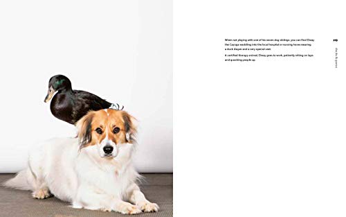 On the Farm: Heritage and Heralded Animal Breeds in Portraits and Stories