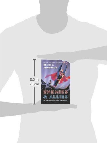 Enemies & Allies: A Novel