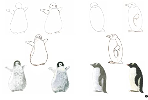 Draw 100: Animals: From basic shapes to amazing drawings in super-easy steps
