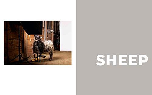 On the Farm: Heritage and Heralded Animal Breeds in Portraits and Stories
