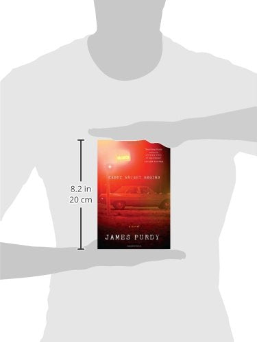 Cabot Wright Begins: A Novel
