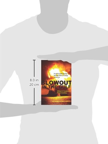 Blowout in the Gulf: The BP Oil Spill Disaster and the Future of Energy in America