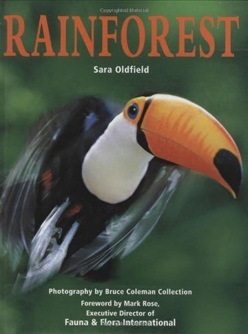 Rainforest