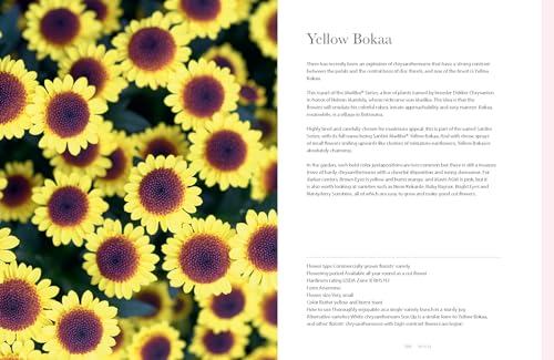 Chrysanthemums: Beautiful Varieties for Home and Garden (Flowers)