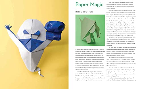 Outside the Box Origami: A New Generation of Extraordinary Folds: Includes Origami Book With 20 Projects Ranging From Easy to Complex