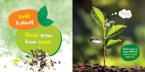 National Geographic Kids Little Kids First Board Book Seed, Sprout, Grow!