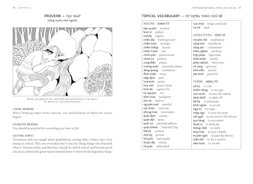 Essential Vietnamese Grammar: A Comprehensive Guide for Foreign Learners (Free Online Audio Recordings) (Essential Grammar Series)