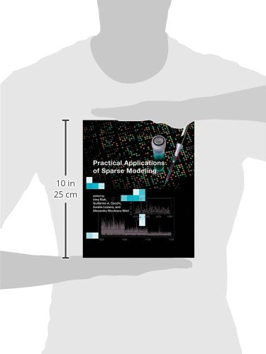 Practical Applications of Sparse Modeling (Neural Information Processing)