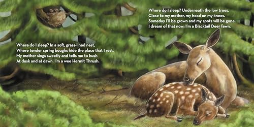 Where Do I Sleep?: A Nature Lullaby