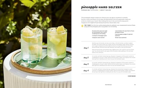 Hard Seltzer, Iced Tea, Kombucha, and Cider: How to Make Your Own Boozy Fermented Drinks
