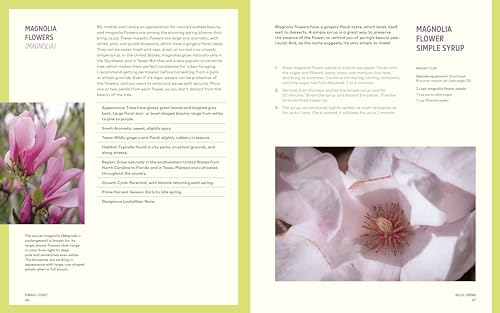 Forage & Feast: Recipes for Bringing Mushrooms & Wild Plants to Your Table: A Cookbook
