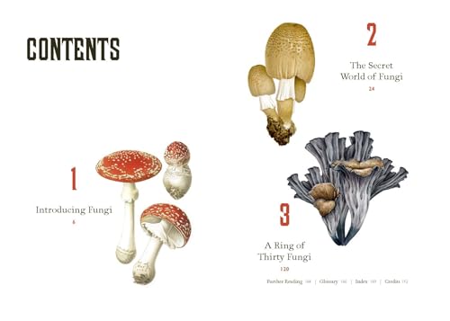 Fungi Decoded: Adventures in the Mycosphere--Encounters with Thirty Fungi