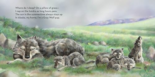 Where Do I Sleep?: A Nature Lullaby