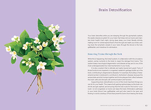 Essential Oils to Boost the Brain and Heal the Body: 5 Steps to Calm Anxiety, Sleep Better, and Reduce Inflammation to Regain Control of Your Health