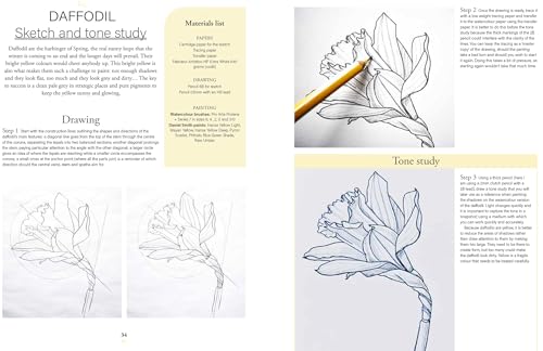 Botanical Watercolours through the Seasons: An all-year-round guide to painting flowers and plants