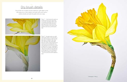 Botanical Watercolours through the Seasons: An all-year-round guide to painting flowers and plants
