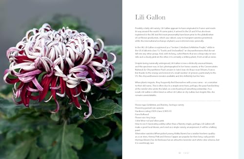 Chrysanthemums: Beautiful Varieties for Home and Garden (Flowers)
