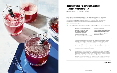 Hard Seltzer, Iced Tea, Kombucha, and Cider: How to Make Your Own Boozy Fermented Drinks