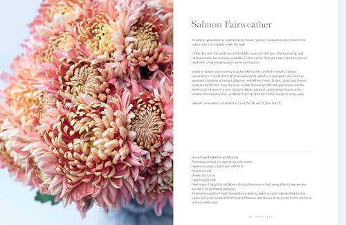 Chrysanthemums: Beautiful Varieties for Home and Garden (Flowers)