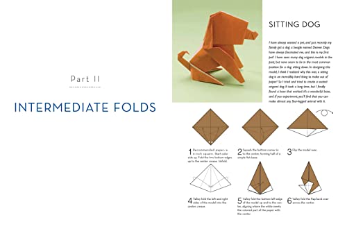 Outside the Box Origami: A New Generation of Extraordinary Folds: Includes Origami Book With 20 Projects Ranging From Easy to Complex