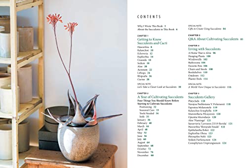 Succulents for Beginners: A Year-Round Growing Guide for Healthy and Beautiful Plants (over 200 Photos and Illustrations)