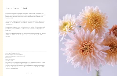 Chrysanthemums: Beautiful Varieties for Home and Garden (Flowers)