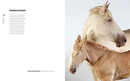 On the Farm: Heritage and Heralded Animal Breeds in Portraits and Stories