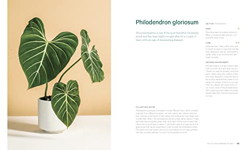Welcome to the Jungle: Rare Tropical Houseplants to Collect, Grow, and Love