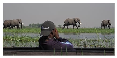 Photo Camp Stories: Our World Through the Lens of Young Photographers