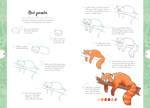 10 Step Drawing: Cute Animals: 'Draw over 50 adorable animals in 10 easy steps